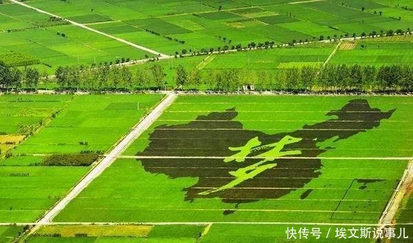  「农民」土地不能成为农民进城的代价！允许农民带土地进城是最