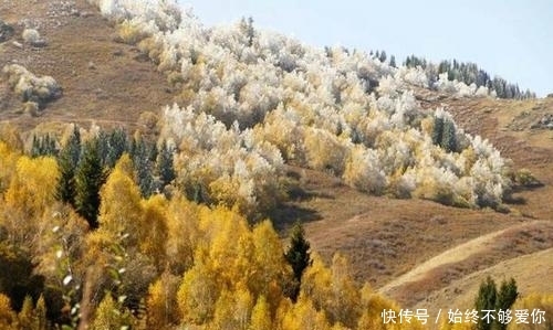 新疆最美景点，赛里木湖都比不过，被央视称为“最后的一片净土”