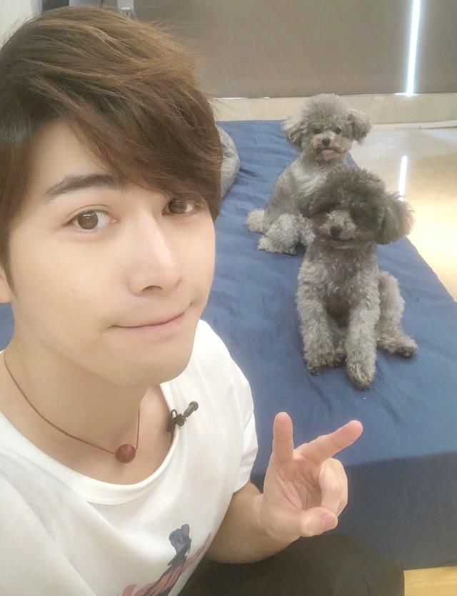 离异带大姨上节目,搬进周崇光房子的陈学冬让