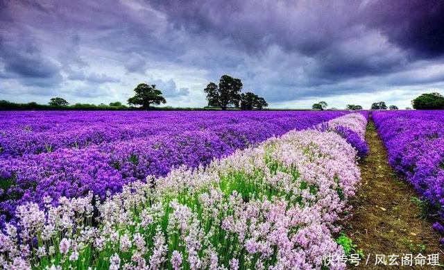 趣味测试:测一测你适合干什么工作?经商?从政