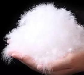  全身：全身是宝，养一只就赚1000元，目前养的人不多