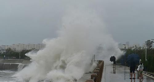 迎战利奇马，违纪干部获免责：给予再次“赶考”的机会，点赞