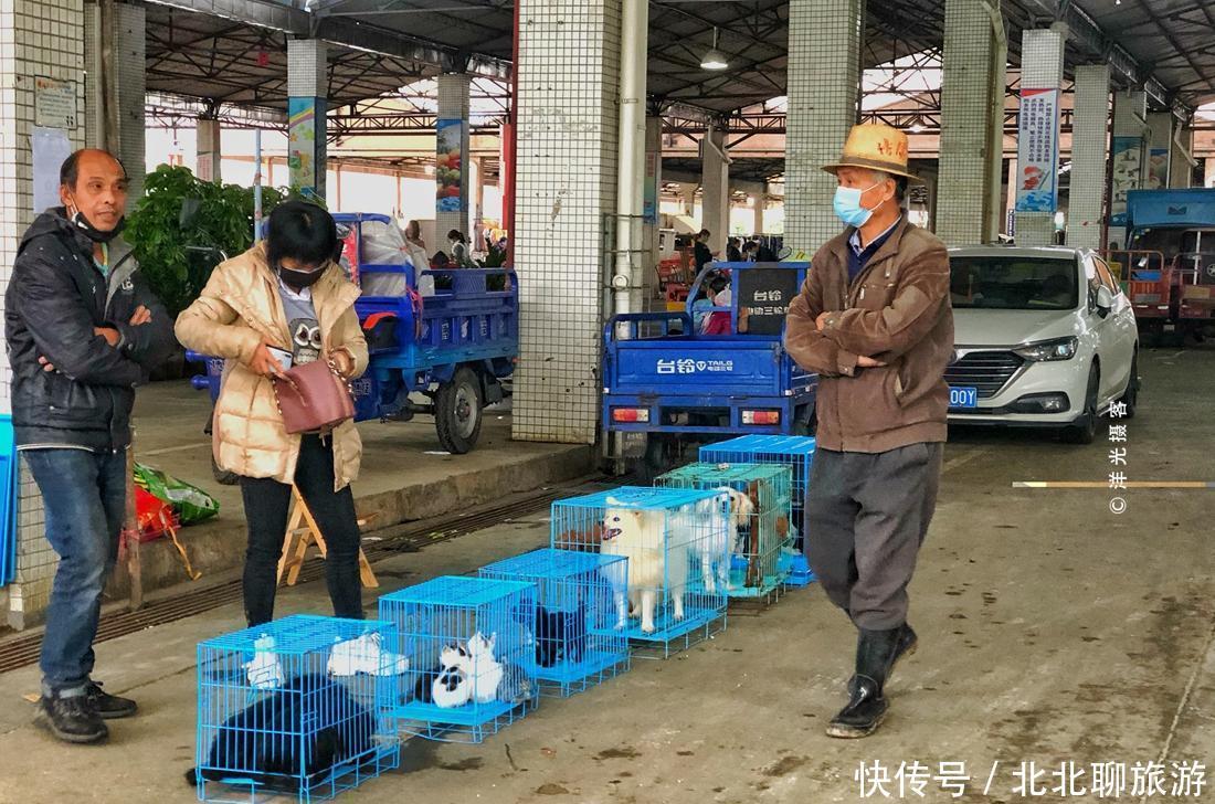  『迎来』开墟了，广州番禺最大民间集市迎来鼠年第一墟，愿此情此景不再见