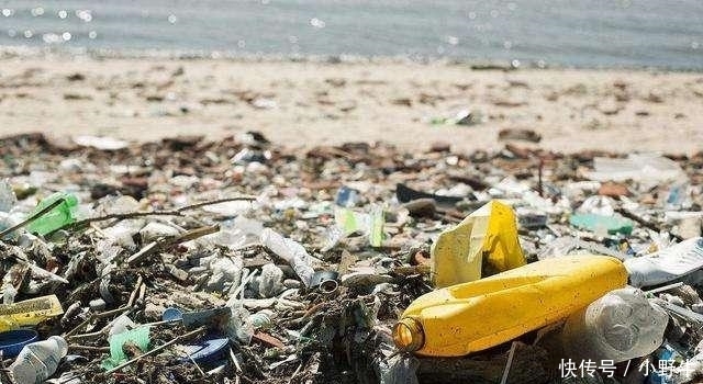  严惩@19年开始, 两项新规将执行, 3类人将被严惩, 独生子女户有