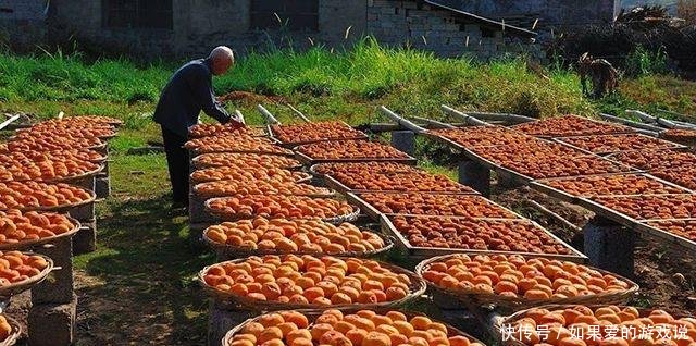 过年一个月，“返乡潮”又起，农村这些行业要火，赚钱机会来了