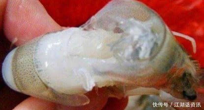 大妈在小摊上买了几斤大虾，儿媳妇吃后赶忙报警，真相让人傻眼了