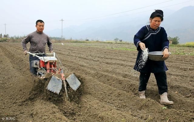 俗语：“腊月立春春水早，正月立春春水迟”，老农的话是什么意思