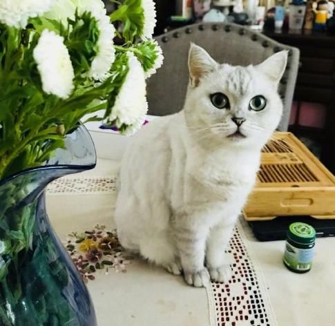 方舟子真实面目大起底！铲屎官发文曝出幕后细节，原来他如此不堪