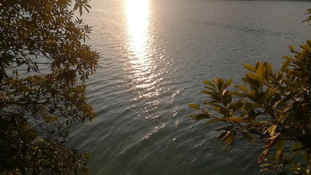 广州从化流溪河国家森林公园一日游掠景