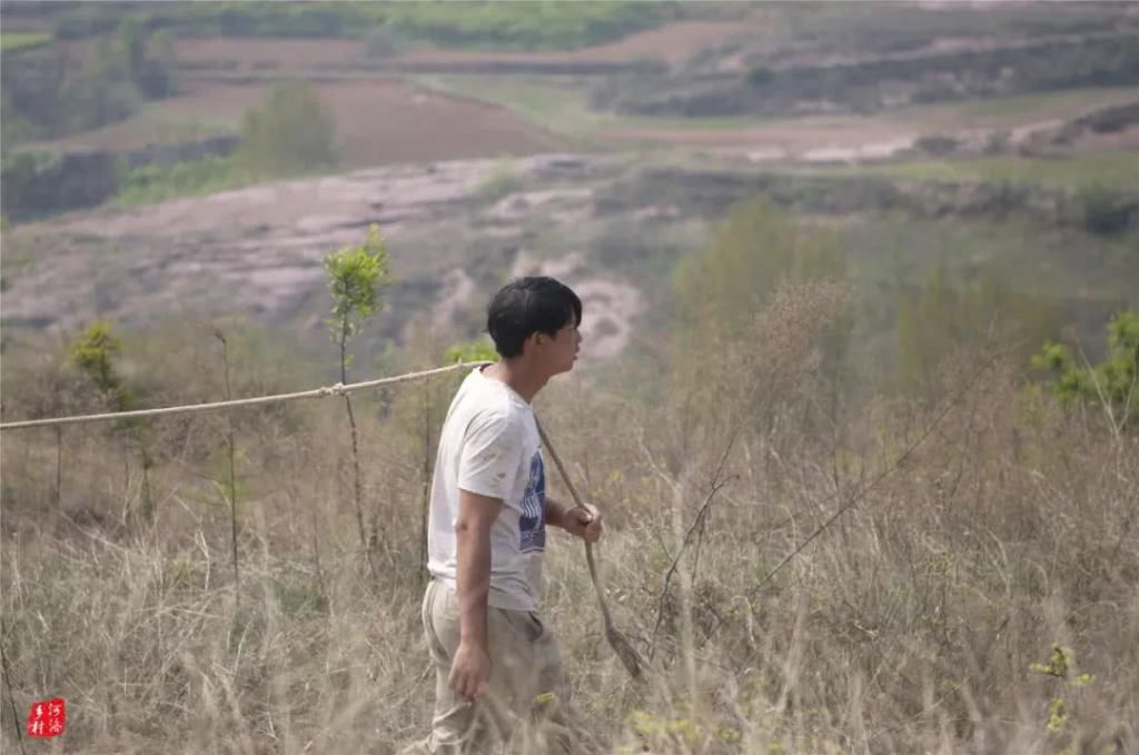  『中专』点赞！20岁广西小伙中专毕业牵骡子，每天山里走2万步，称工作不分贵贱