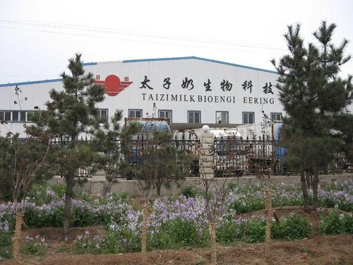 曾贷款10万卖挂历,后花8千万央视打广告,现公司破产致家破人亡