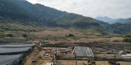  牛蛙价格@5年前开始禁养，价格突然暴涨，60元一斤，农民：价格