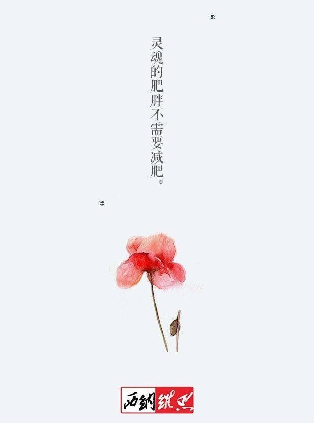 「小高领」薄外套里面穿什么?这5款内搭让你时髦一整个春天!
