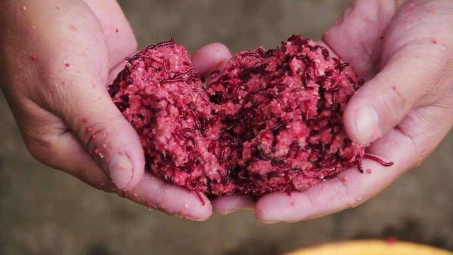 『情况』不打窝渔获好,打窝后反而没渔获,到底是什么情况