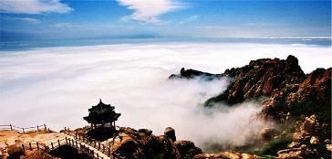 台风过后,青岛不仅可以捡到海鲜,还能欣赏到别致的风景