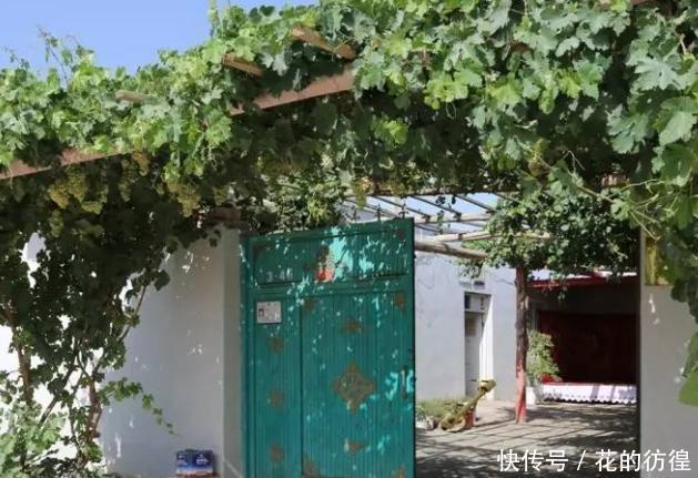 国内最偏僻的村庄,在沙漠的深处,网友:不好找也不敢去