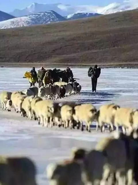 中国有座世界上海拔最高的村落，坐拥旷世美景，如同天堂的入口