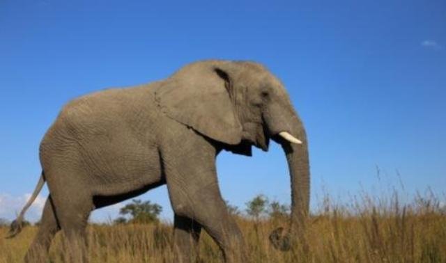 非洲在2050人口超过三十亿，这三十亿人口，会给世界带来什么变化