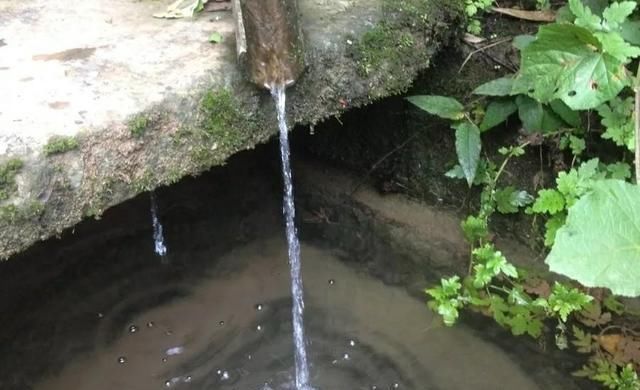  『泉水』养鱼用泉水好还是河水好？