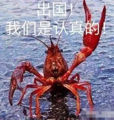 世界杯期间外国人的小龙虾火爆了?网友表示:还