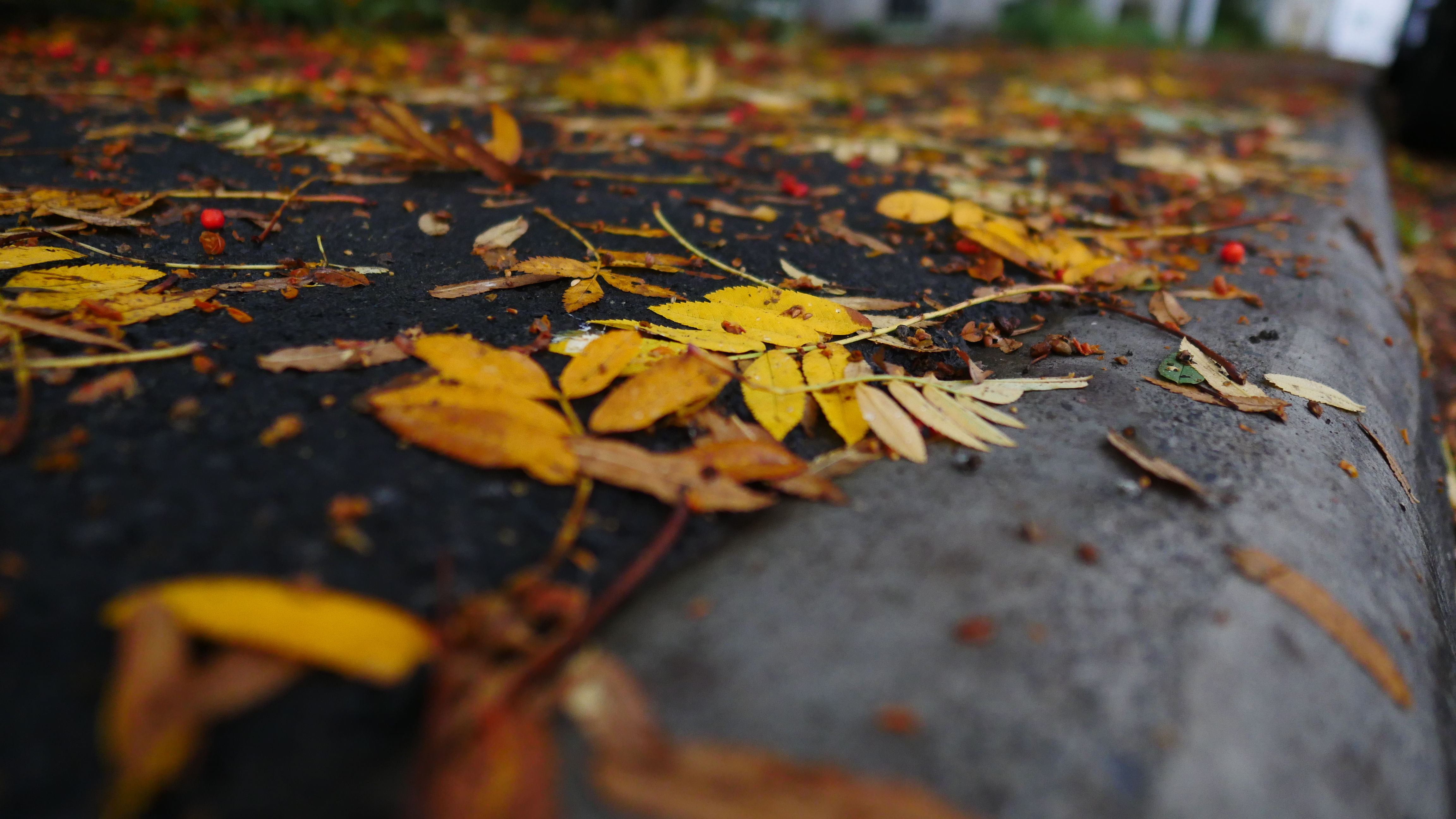 一起去世界的尽头流浪 冰岛历险记（中）