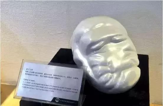  「巴罗达珍珠」大开眼界：一颗珍珠卖上亿，买不起也得看看长啥样