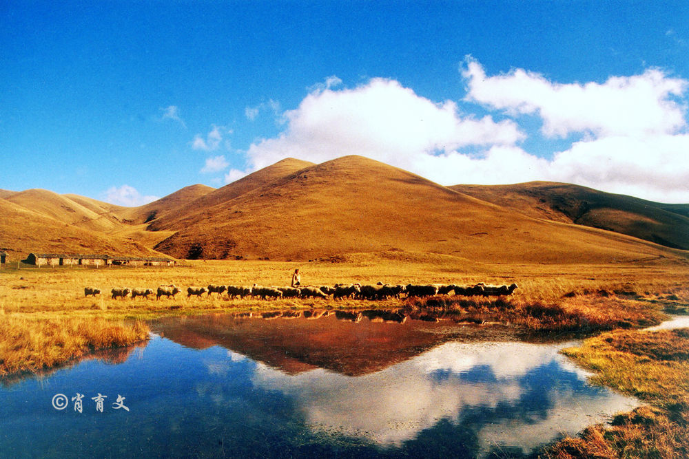 云南这里被评为全国最美地标之一，集雪域高原和大草原的美于一身