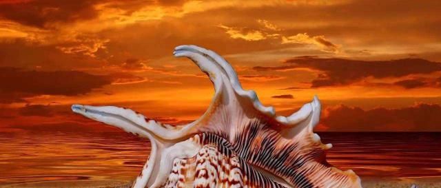 拍摄的照片一般般,那就换个拍摄角度