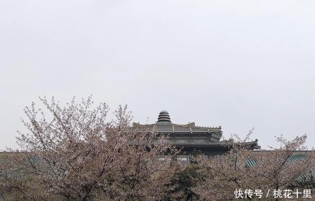 湖北武汉何止只是武汉大学的樱花,这五个地方也是必去的