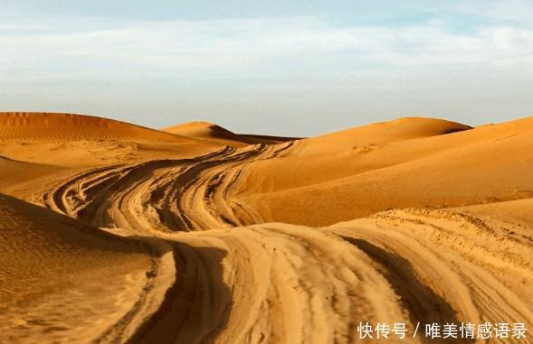 全球最大治沙工程40年治沙5000万亩，改变半个中国命运！