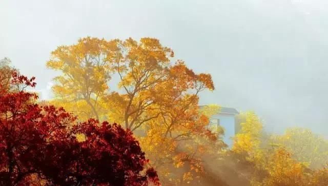 江南最美的10个秋色