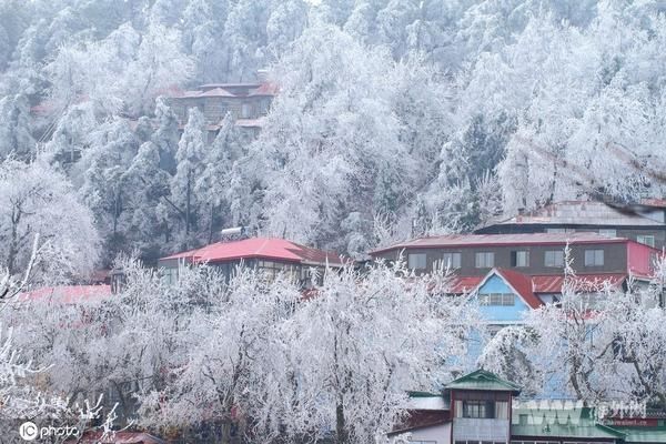 江西庐山迎来2019年入冬首场降雪和雾凇双景观