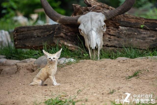 入门摄影必学课 快门不是简单的一串数字
