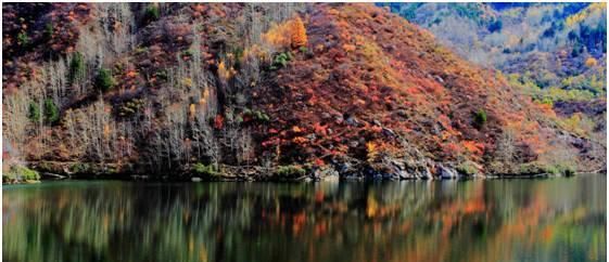 秋日里，山西20处绝美赏秋胜地美的像仙境