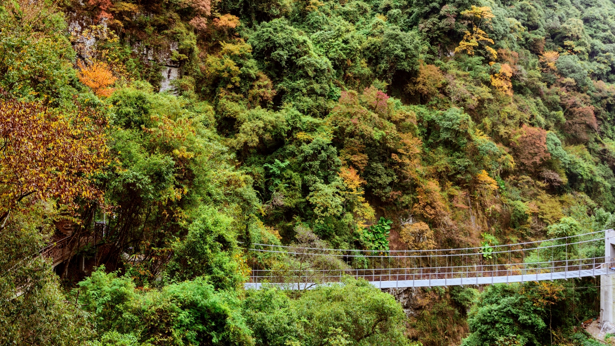 福建深山藏有一处神奇洞穴，竟有三位皇帝来此避难，全国少有