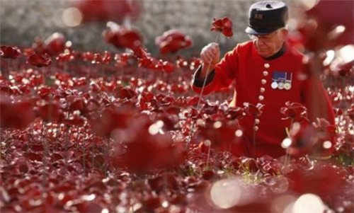  【24小时】中国最“精贵”的农民，堪比“唐僧肉”，警察24小时