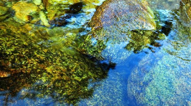 诗歌：与你擦肩而过