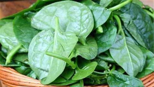  种植■种一棵能吃一季，一斤7元，却少农民种植，如今正当季