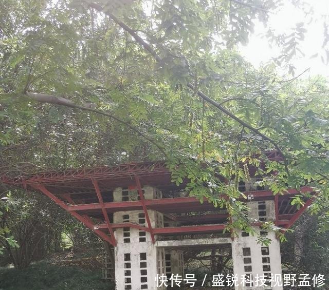 游记苏州——上海——绍兴，下江南之旅