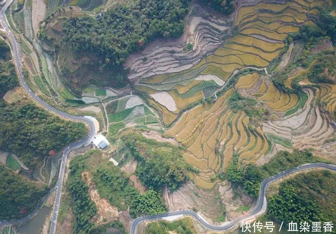 徽州秋景美不胜收 灵山稻黄更让人沉醉