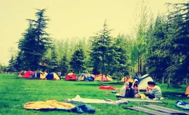 江苏浪漫的13个露营地都在这儿了,约吗?