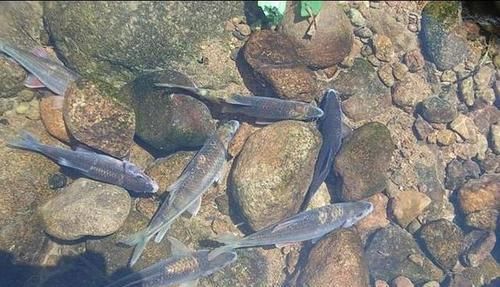 『反倒』老婆不让去钓鱼,男子反倒提了一个要求,网友:钓鱼人真机智