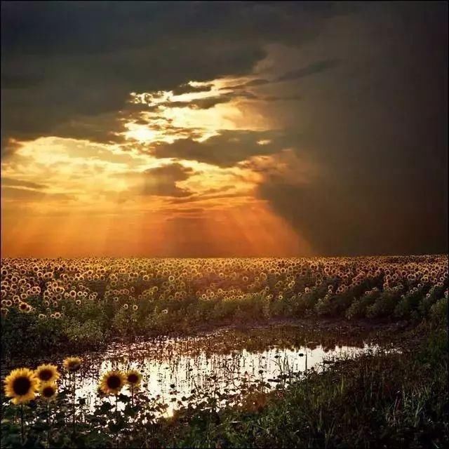 震惊世界的28张照片，你看过几张？