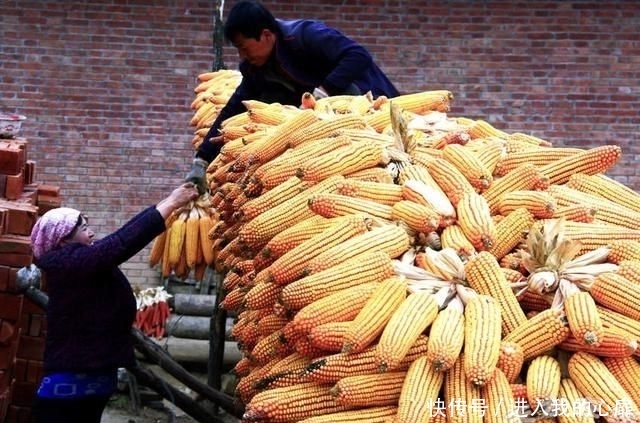  #有钱#农民有钱了 家有20万存款，在农村究竟算富人还是穷人？