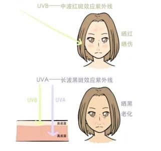 日本美白新趋势，小野断黑密码中国上架!