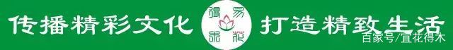  【传统】濒危物种｜百合是我国传统名花，您可见过开瓣豹子花？
