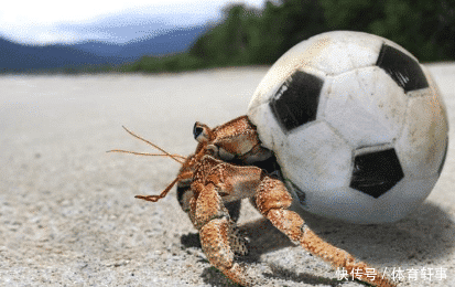 看看这7张照片，人类制造的垃圾到底是如何摧残这颗星球的？