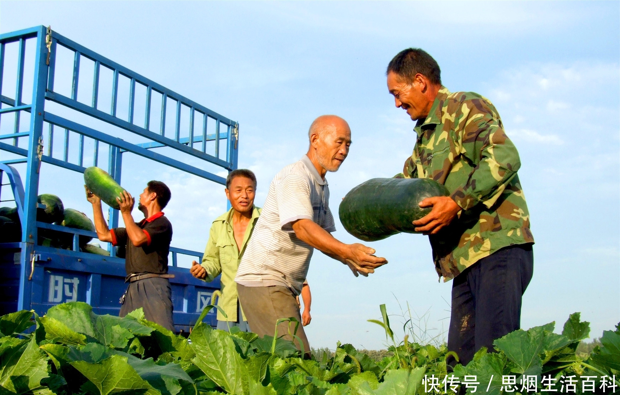  实则@农村“空手套白狼”频发，2个项目看似获利，实则害苦了不