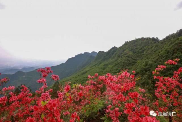  花语长征■铜仁|松桃：炫酷民族风“炸”翻天