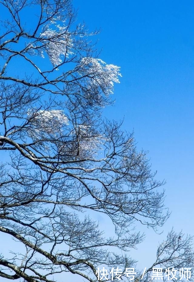 冰雪：灌阳风情：宝盖山的冰雪世界